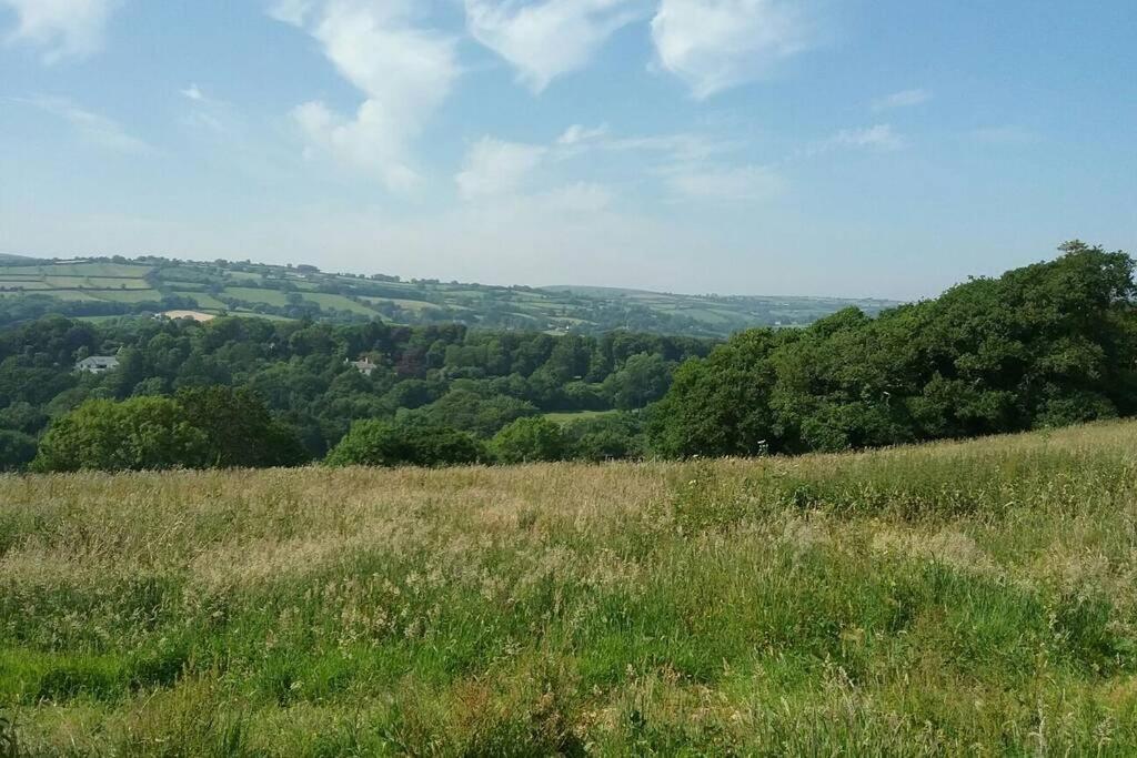 Stags View,Unique Eco Cabin, Dartmoor Views South Brent Экстерьер фото
