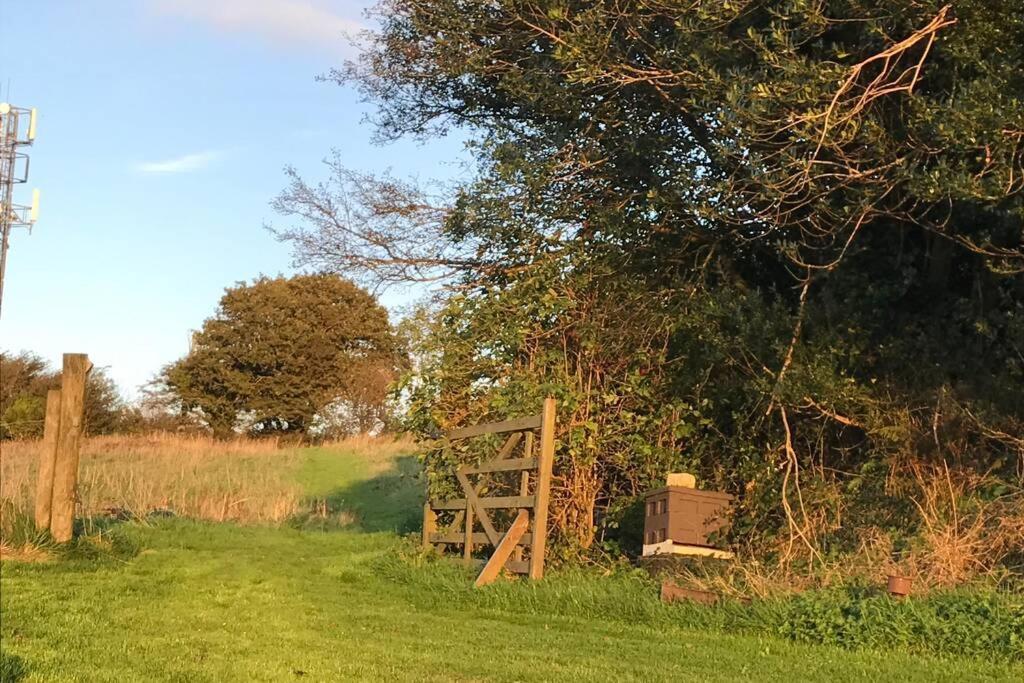 Stags View,Unique Eco Cabin, Dartmoor Views South Brent Экстерьер фото