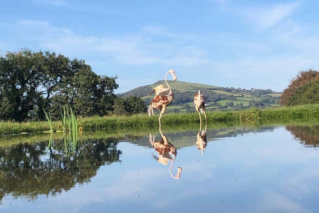Stags View,Unique Eco Cabin, Dartmoor Views South Brent Экстерьер фото